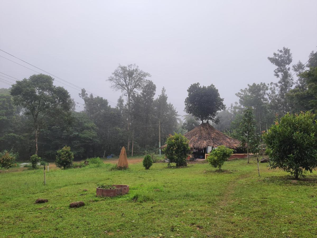 StoneAge Resort Ballupet Sakleshpur Exterior foto